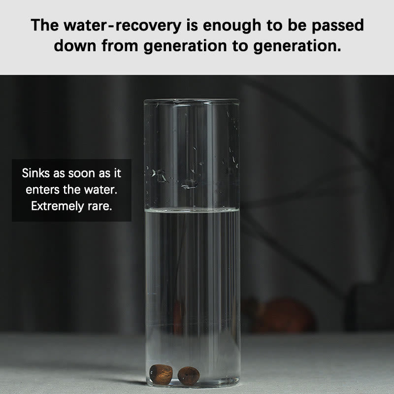 KarmaRipple's Nha Trang Rare Bai Qinan Agarwood Cyan Jade Red Agate Laughing Buddha Tibetan Bone Strength Meditation Bracelet p20